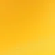 Sunflower Yellow